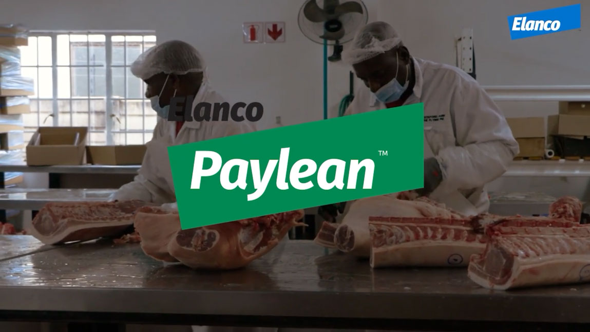 Elanco Paylean