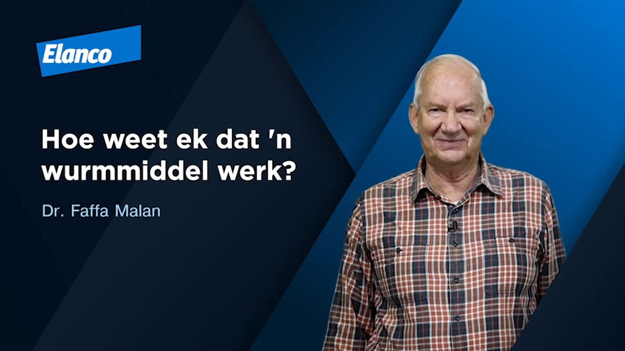 Hoe Weet Ek Dat `N Wurmmiddel Werk